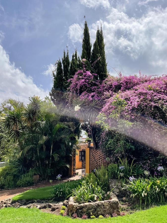 Casa Magdalena Hotel Boutique 莫雷利亚 外观 照片