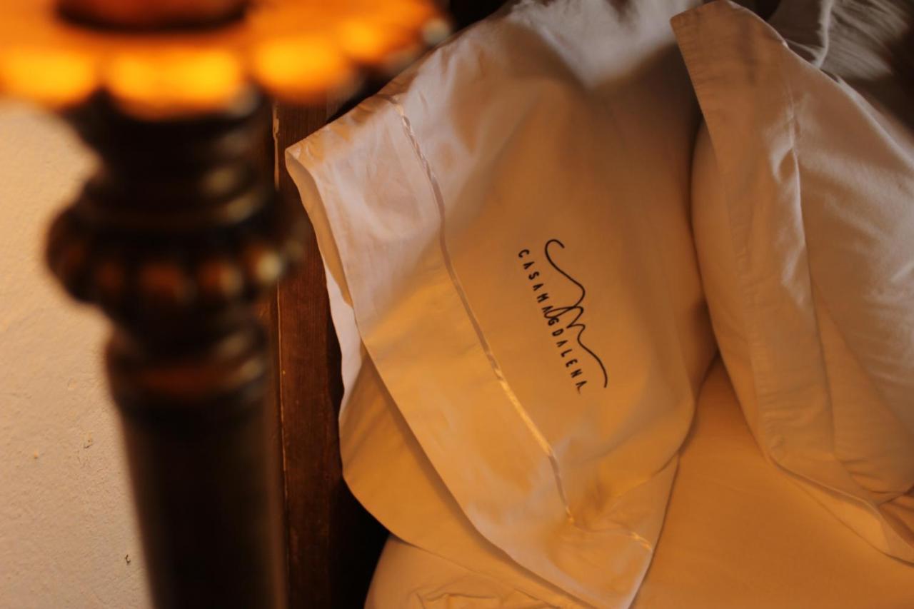 Casa Magdalena Hotel Boutique 莫雷利亚 外观 照片